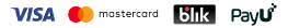 VISA MasterCard BLIK PayU